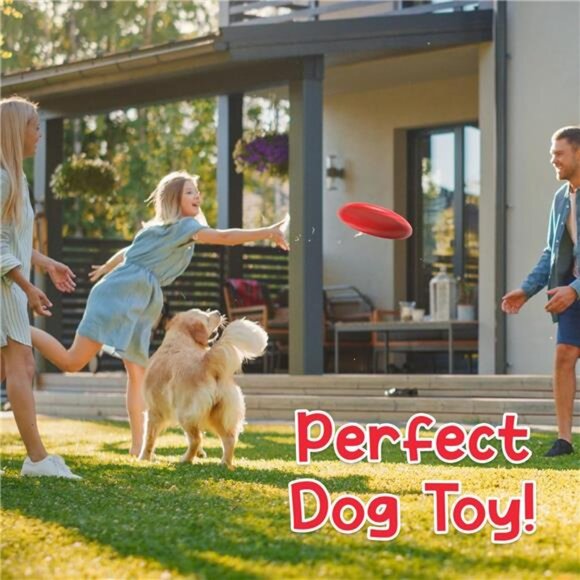 High-Flying Excitement: 12 Pack, 10 Inch Assorted Color Flying Discs (Blue,Red) - Picture 3 of 4